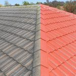 Roof Coatings